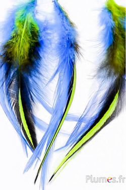 Pendentif Coq Wyandotte - 12 cm - bleu-lime